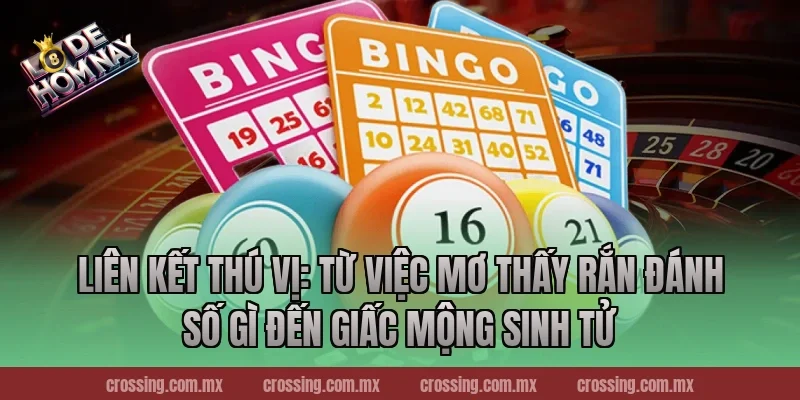 Liên Kết Thú Vị: Từ Việc mơ thấy rắn đánh số gì Đến Giấc Mộng Sinh Tử